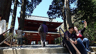 p4232203_thumb.jpg