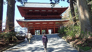 p4232204_thumb.jpg