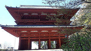 p4232205_thumb.jpg