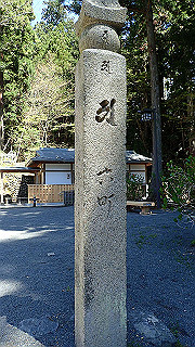 p4232208_thumb.jpg