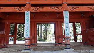 p4232214_thumb.jpg