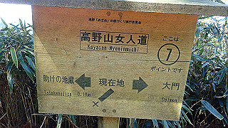 p4232217_thumb.jpg