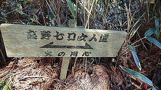 p4232218_thumb.jpg