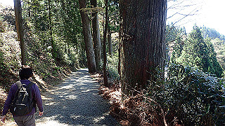 p4232219_thumb.jpg