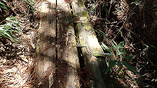 p4232225_thumb.jpg