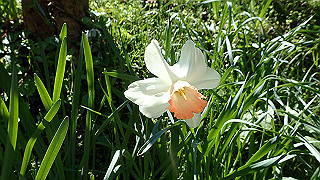 p4232227_thumb.jpg