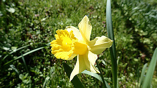 p4232228_thumb.jpg