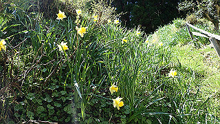 p4232229_thumb.jpg