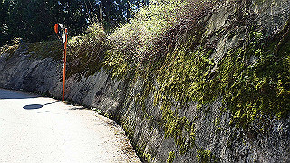 p4232230_thumb.jpg