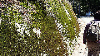 p4232231_thumb.jpg