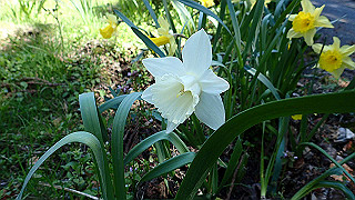 p4232232_thumb.jpg