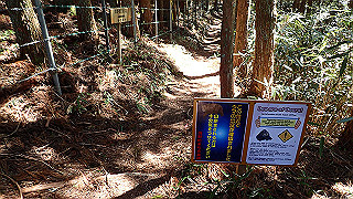 p4232235_thumb.jpg