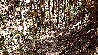 p4232236_thumb.jpg