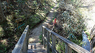 p4232240_thumb.jpg