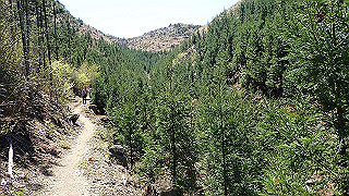 p4232242_thumb.jpg