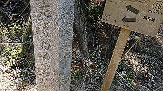 p4232243_thumb.jpg
