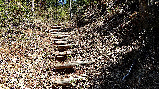 p4232244_thumb.jpg