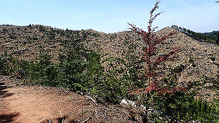 p4232246_thumb.jpg