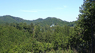 p4232247_thumb.jpg