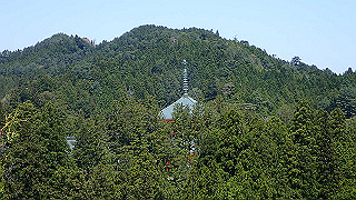 p4232248_thumb.jpg