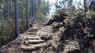 p4232250_thumb.jpg
