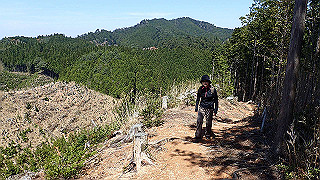 p4232252_thumb.jpg