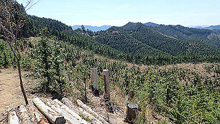 p4232256_thumb.jpg