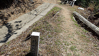 p4232257_thumb.jpg