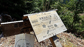 p4232258_thumb.jpg