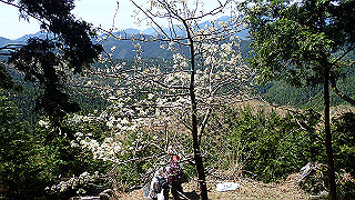 p4232260_thumb.jpg