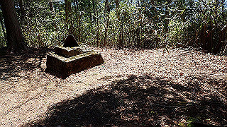 p4232261_thumb.jpg