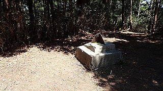 p4232262_thumb.jpg