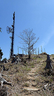p4232263_thumb.jpg