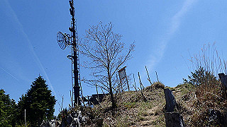 p4232264_thumb.jpg