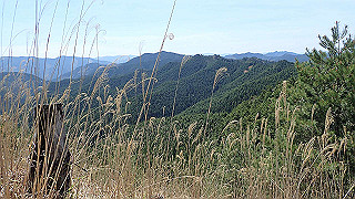 p4232265_thumb.jpg