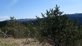 p4232266_thumb.jpg