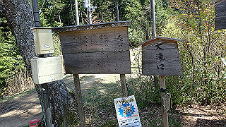 p4232267_thumb.jpg
