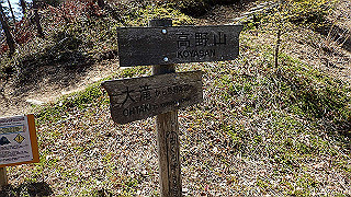 p4232268_thumb.jpg