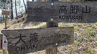 p4232269_thumb.jpg