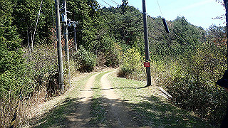 p4232270_thumb.jpg