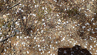 p4232278_thumb.jpg