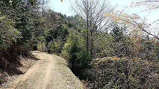 p4232279_thumb.jpg