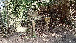 p4232280_thumb.jpg