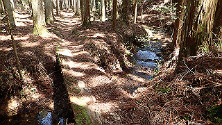 p4232281_thumb.jpg
