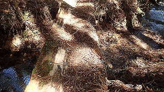 p4232282_thumb.jpg