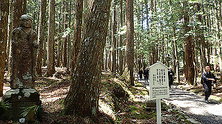 p4232284_thumb.jpg