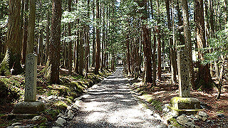 p4232286_thumb.jpg