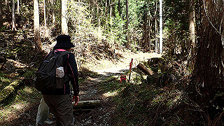 p4232291_thumb.jpg