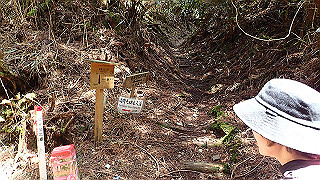 p4232292_thumb.jpg