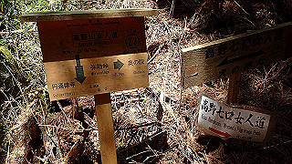 p4232294_thumb.jpg